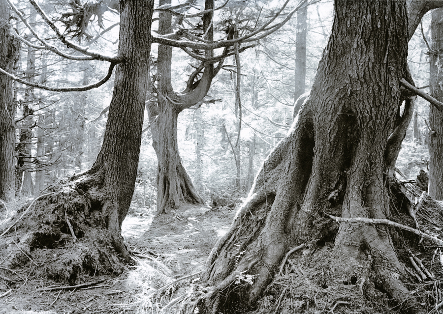 Tim Rudman – The London Salon of Photography