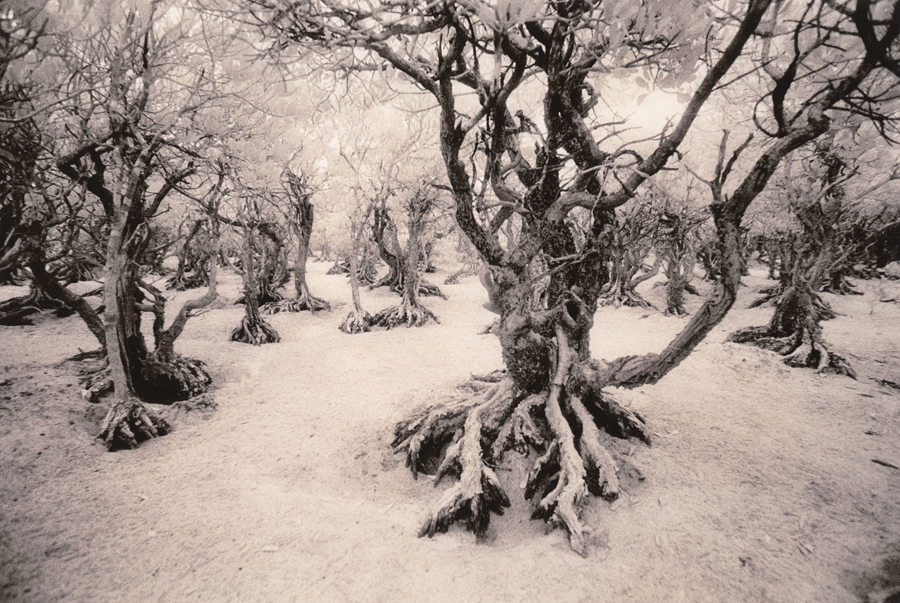 Tim Rudman – The London Salon of Photography