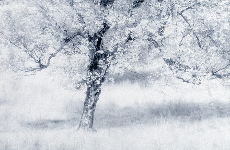 Tim Rudman – The London Salon of Photography